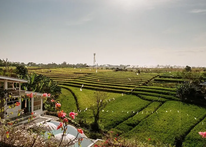 Boho 4* Canggu